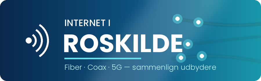 Internet i Roskilde