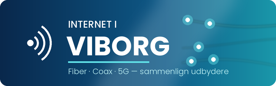 Internet i Viborg