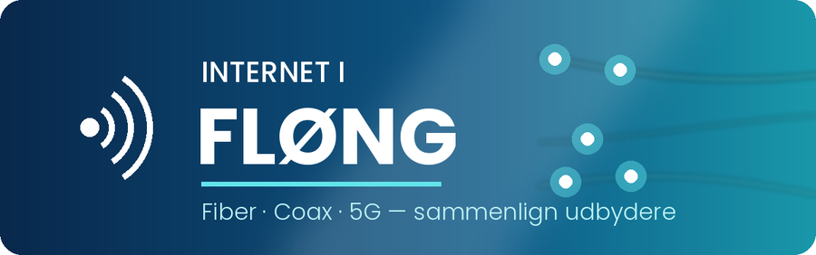 Internet i Fløng