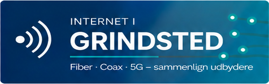 Internet i Grindsted