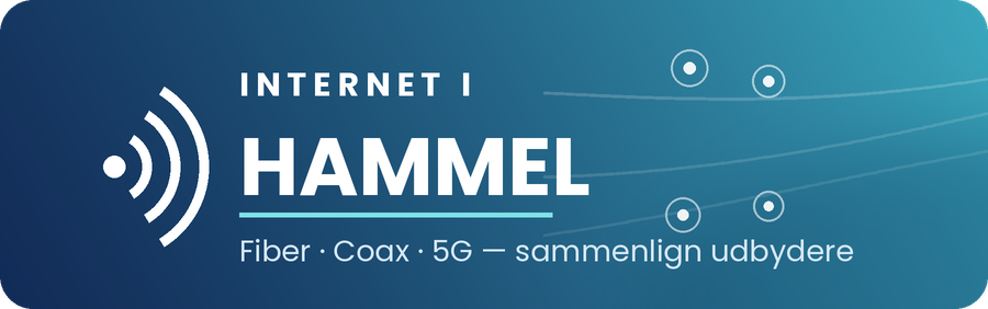 Internet i Hammel