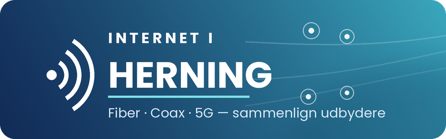 Internet i Herning