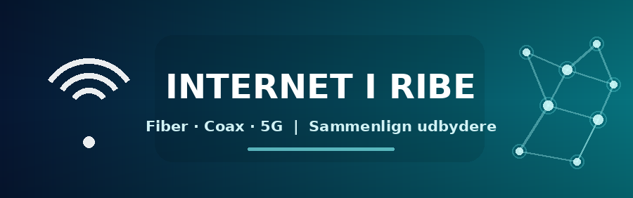 Internet i Ribe