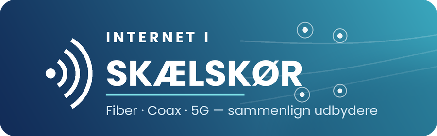 Internet i Skælskør