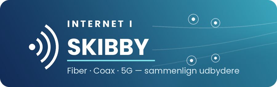 Internet i Skibby