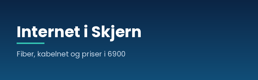 Internet i Skjern