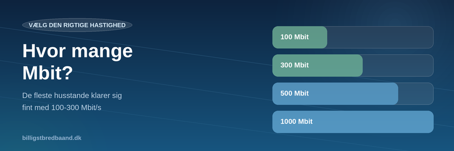 Hvor mange Mbit har jeg brug for? 100, 300, 500 eller 1000